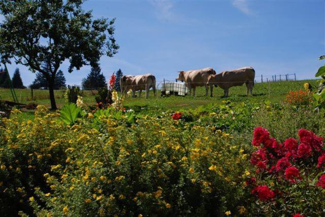 La Ferme Du Bois Barbu Hotel Villard-de-Lans Luaran gambar