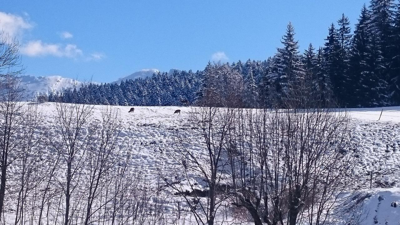 La Ferme Du Bois Barbu Hotel Villard-de-Lans Luaran gambar